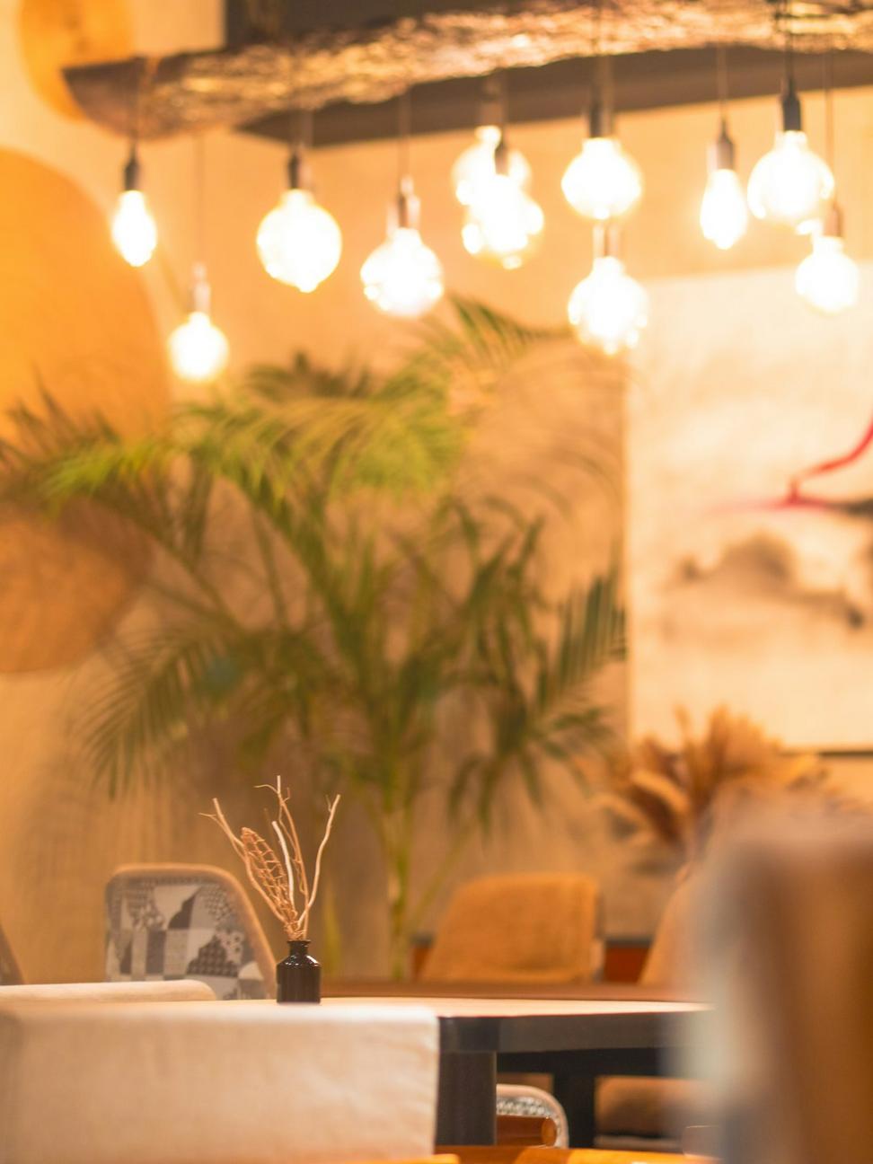 Cafe interior