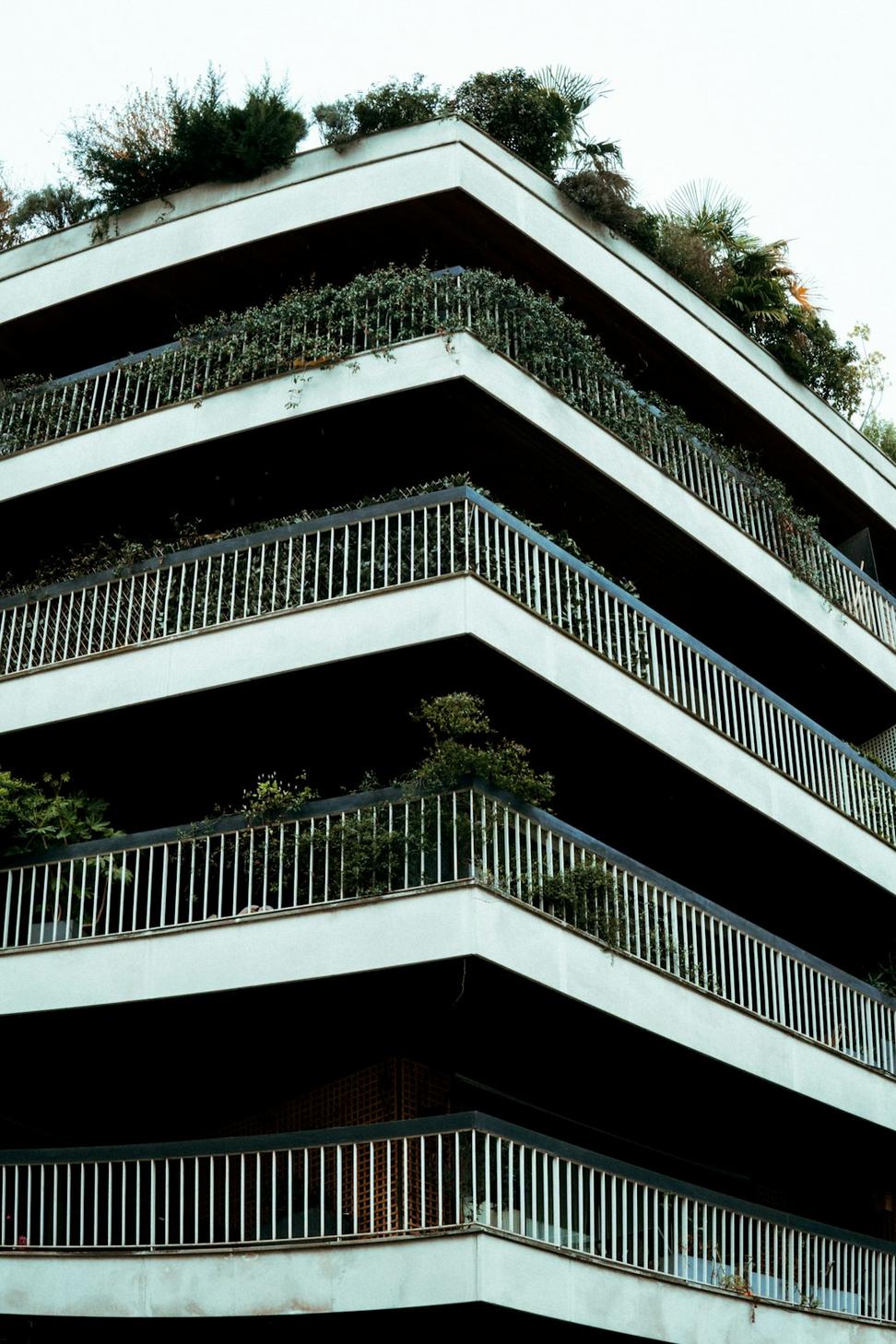 Deck view